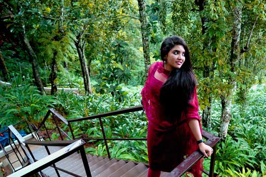 Wooden tree house resort in Munnar set among lush greenery with misty mountain views.