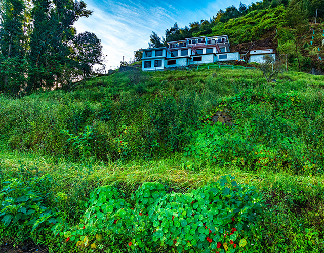 Scenic view of Warmth Hill Crest resort in Kodaikanal surrounded by lush green hills and misty valleys, with cozy cottages and a peaceful natural setting.