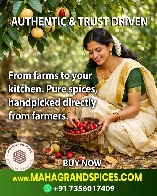 Premium Kerala spices including black pepper, cardamom, cloves, and cinnamon from Maha Grand Spices