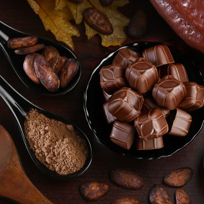 Macofa Belgium chocolate shells filled with crunchy nuts