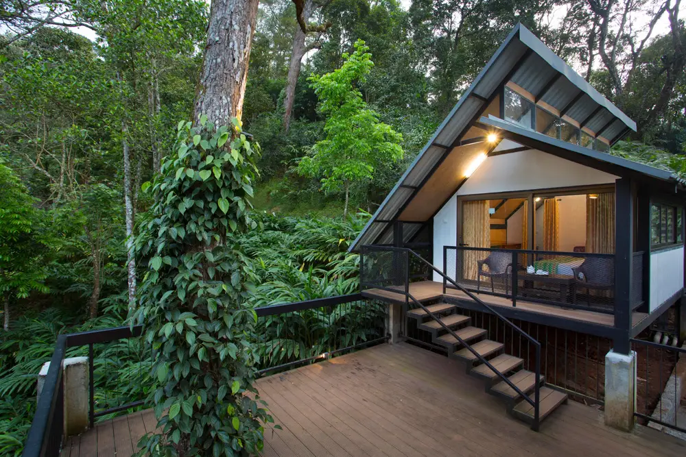Eco-friendly tree house surrounded by lush greenery at Bamboo Dale Resort.