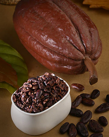 Macofa Belgium Dark Chocolate bar handcrafted from Kerala organic cocoa