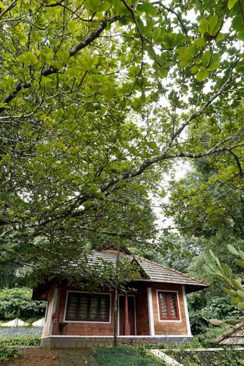 Romantic cottage stay at Misty Woods Resort in Coorg surrounded by lush greenery