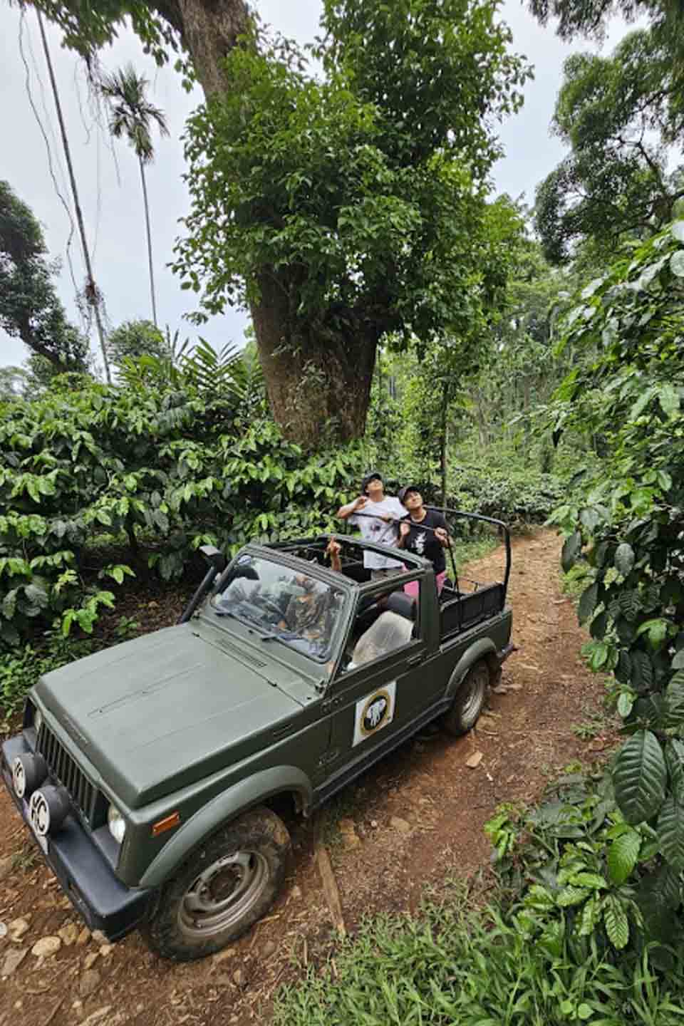 Adventure activities at Misty Woods Resort Coorg including jeep ride and ATV trails