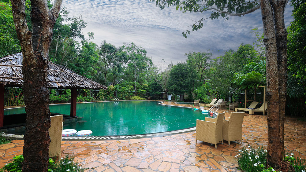 Infinity swimming pool at Morickap Resort overlooking lush Wayanad hills