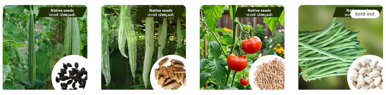 Buy premium native vegetable seeds online for April planting