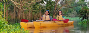 Kayaking in Kochi backwaters at Kadamakkudy with mangroves, calm canals, and guided adventure