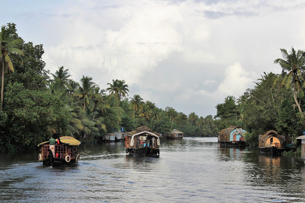 Luxury Alappuzha backwater cruise passing through scenic canals, coconut trees, and peaceful village landscapes