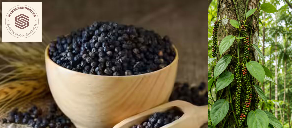 black-pepper-premium-quality-kerala-spice-16