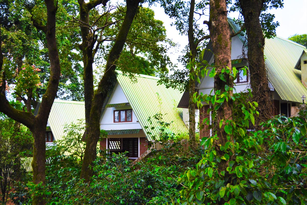 Luxury accommodation cottages at Misty Woods Resort Coorg surrounded by coffee plantations and misty hills
