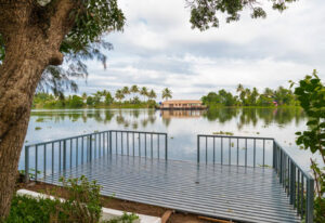 Beautiful backwater frontage at Warmth Lake Haven Alleppey with coconut palms and serene lake views