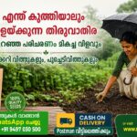 Thiruvathira-njattuvela-seeds