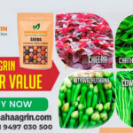 buy premium seeds online, cultivate in monsoon season