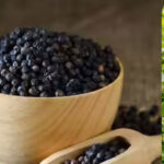 Premium quality Black pepper from Idukki, Kerala