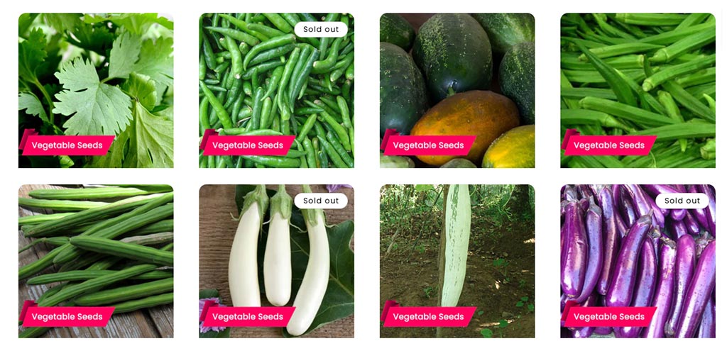 Thiruvathira njattuvela cultivation seeds