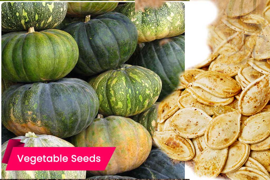 buy-quality-pumpkin-seeds-online