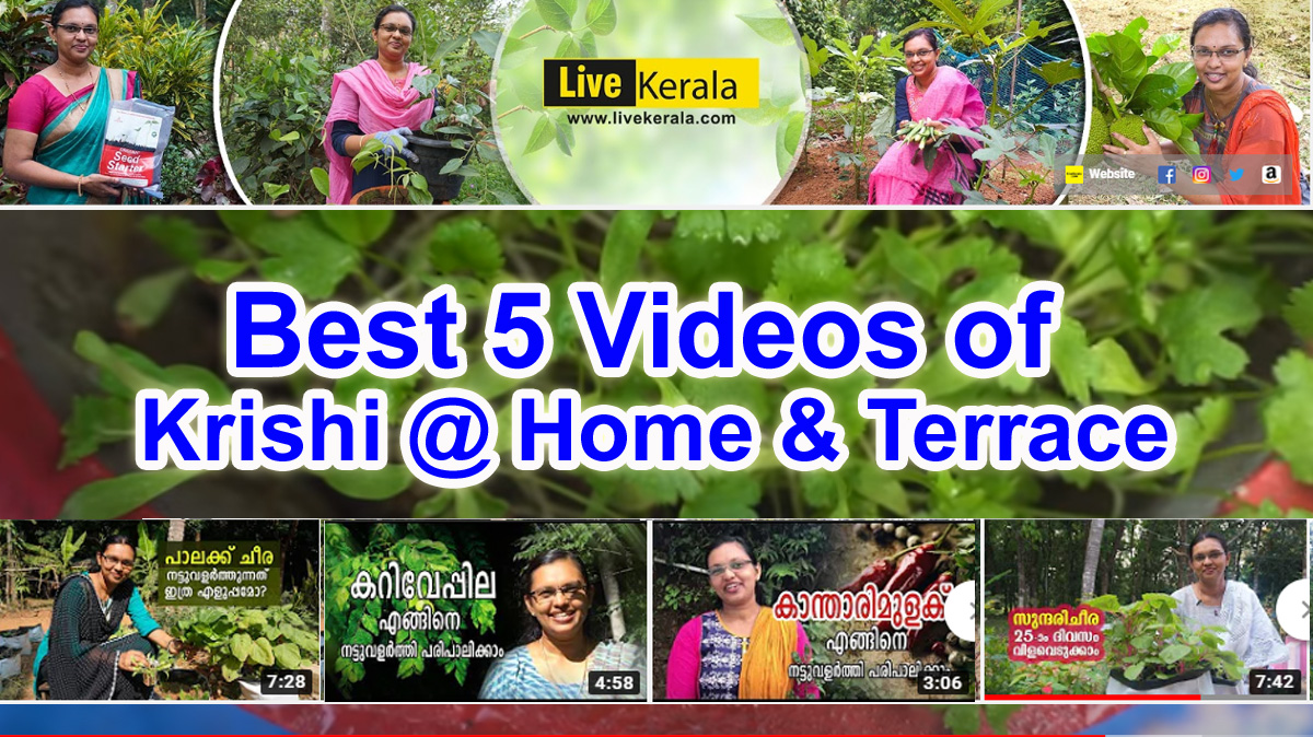 best 5 krishi videos