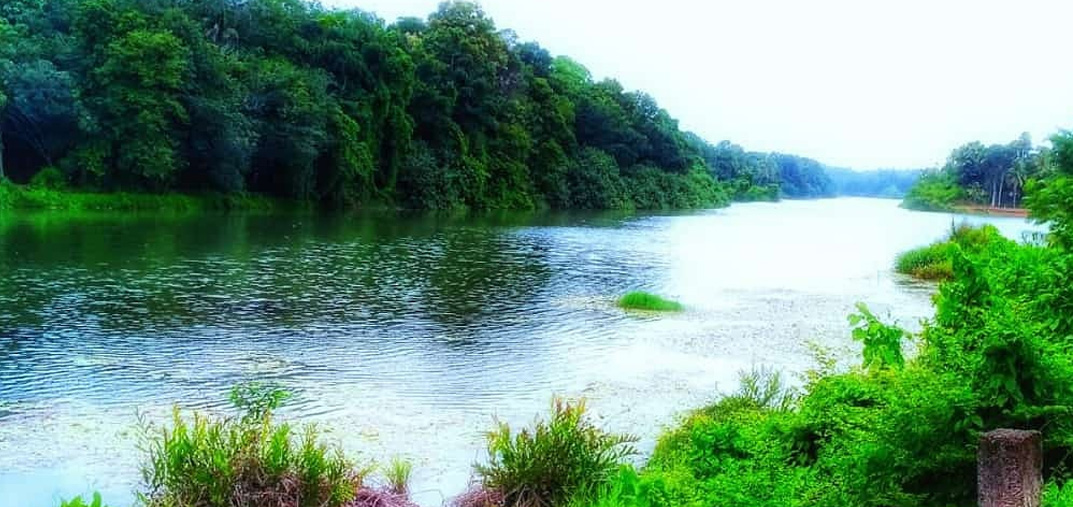 Kallada-puzha-Rivers-in-Kerala