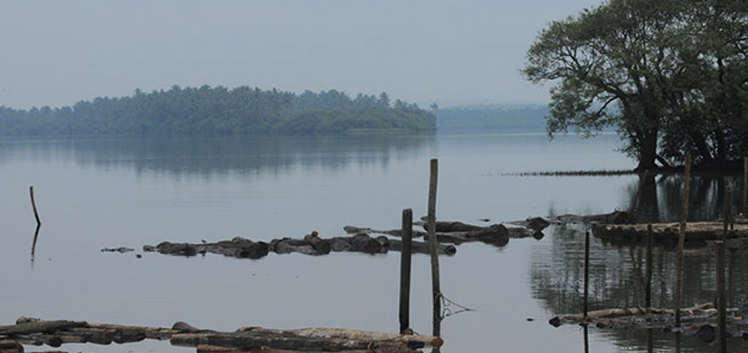 valapattanam-puzha-Rivers-in-Kerala